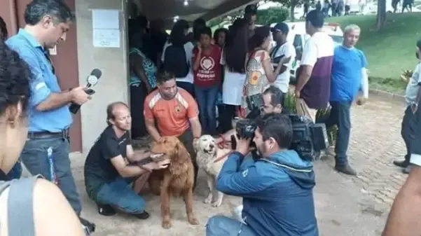 Cães em Brumadinho encontram 4 pessoas vivas.