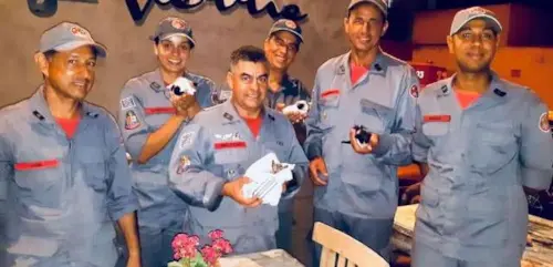 Bombeiros se guiam pelos miados e usam até câmera para resgatar gatinhos presos em canos em Mogi.