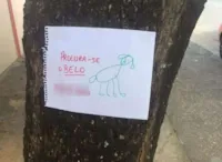 Menina encontra cachorro perdido com cartazes