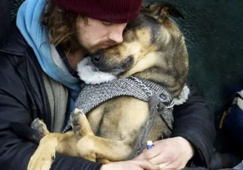 Cachorros veem seus donos como se fossem seus pais.