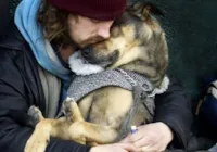 Cachorros veem donos como pais