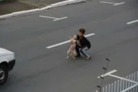 Criança socorre cachorro atropelado