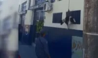 Bombeiros resgatam cachorro em telhado