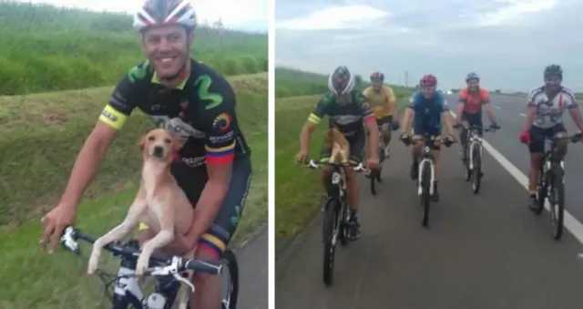 Ciclistas encontram cão abandonado em estrada e o levam para casa, em São Paulo.