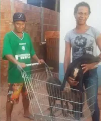 Casal viaja 80 km para salvar cachorros