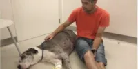 Homem vende carro para cuidar de cachorro