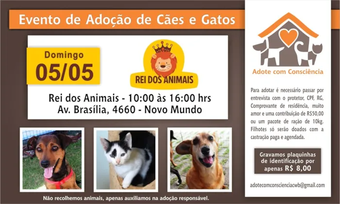 Participe da nossa feira de adoção de animais e encontre o companheiro perfeito. Venha conhecer cães e gatos que esperam por um lar amoroso.