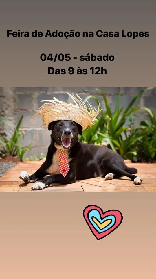Participe da nossa feira de adoção e encontre seu novo melhor amigo. Venha conhecer animais em busca de um lar amoroso. Adote e faça a diferença!