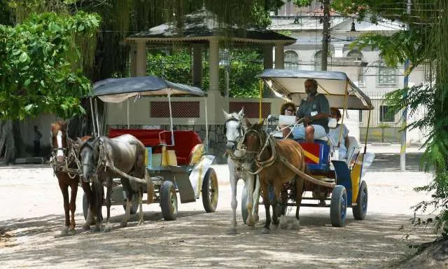 Lei proíbe o uso de cavalos para puxar carroças no estado.