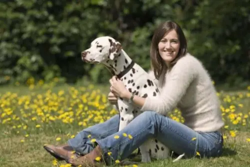 Envenenamento: primeiros-socorros para o seu cachorro