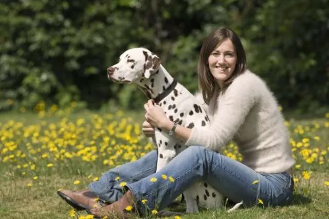 Envenenamento: primeiros-socorros para o seu cachorro