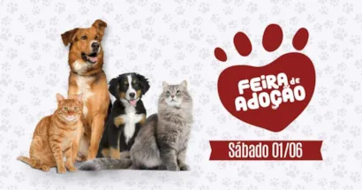 American Pet
No próximo sábado, dia 01/06, teremos nossa feira de adoção!!
Veja as lojas em que teremos feiras nesse fim de semana e venha participar!

Lojas: 

COPACABANA
Avenida Nossa Senhora de Copacabana, 1,107

MÉIER
Rua Silva Rabelo, 18
