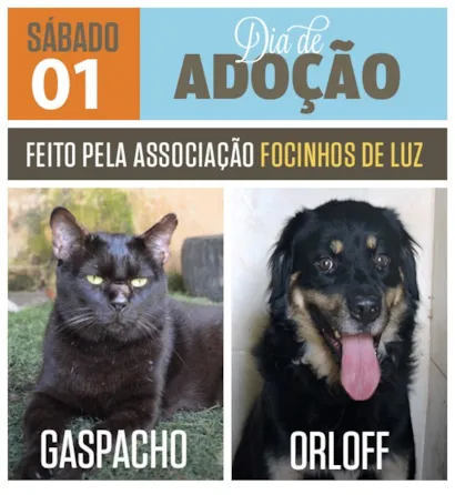 Focinho de luz

1)	Supermercado Mundial 
Av. Embaixador Abelardo Bueno, 2660 - Horário: de 10h às 17h

2) Petz, ao lado da Etna
Av. Ayrton Senna, 3437 - Horário: de 10h às 17h

Vem gente! ???????


