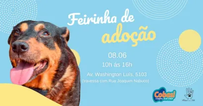 Olhaaaa só o que vem por ai... mais uma FEIRINHA DE ADOÇÃO!! A Aliança com a Vida em parceria com a rede COBASI estamos preparando o momento ADOTE UM PET até vocês: onde vocês poderão adotar um doguinho, conhecer nosso trabalho e se divertir com a gente
