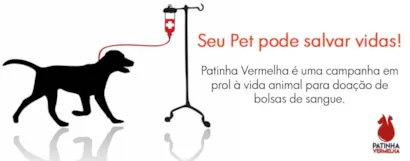 Rua Artur Galhardo, 267, Mauá, Mauá, 09360-700, Brasil
A Campanha Patinha Vermelha tem o objetivo de conscientizar a sociedade da importância sobra a doação de sangue para pets (cães e gatos), onde irá realizar eventos para fazer a coleta efetiva de bols