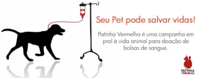 Rua Artur Galhardo, 267, Mauá, Mauá, 09360-700, Brasil
A Campanha Patinha Vermelha tem o objetivo de conscientizar a sociedade da importância sobra a doação de sangue para pets (cães e gatos), onde irá realizar eventos para fazer a coleta efetiva de bols