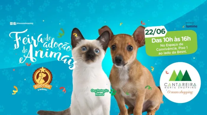 Participe da nossa feira de adoção e descubra seu novo melhor amigo. Venha conhecer pets adoráveis que aguardam um lar. Adoção consciente e cheia de amor!