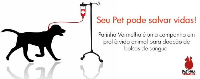 Participe da feira de adoção e dê um lar a um animal carente. Encontre seu novo melhor amigo e ajude a transformar vidas. Venha nos visitar!
