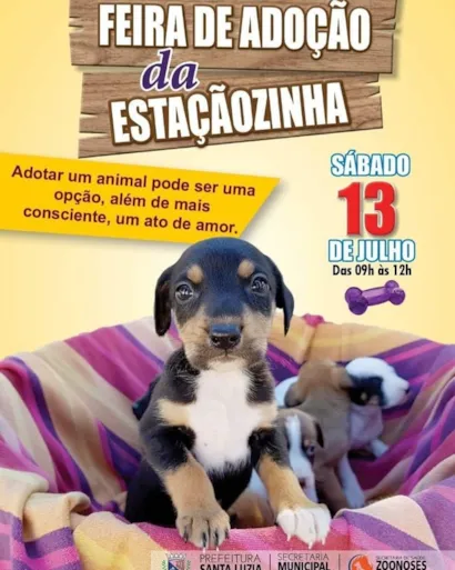 No próximo sábado, dia 13 de julho, acontece a 9° edição da Feira de Adoção de Cães e Gatos realizada pela Prefeitura de Santa Luzia, por meio da Coordenadoria de Controle em Zoonoses. Serão levados para adoção cerca de 20 animais, adultos e filhotes, que