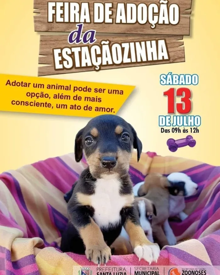 Participe da 9ª Feira de Adoção de Cães e Gatos em Santa Luzia, no sábado, 13 de julho. Adote um dos 20 animais disponíveis e transforme uma vida!