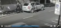 Cachorro jogado na rua em SP