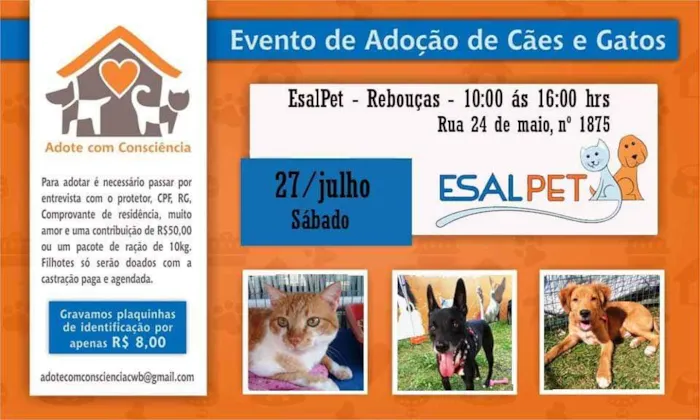 Neste Sábado 27/07 
a campanha Adote Com Consciência é na EsalPet Petshop Rebouças na Rua 24 de Maio 1875 das 10h às 16h.


?? Lindos Cães e Gatos vira latas, com muito amor para dar! São animais resgatados de abandono ou maus tratos e buscam uma nova