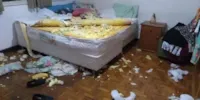 Vira-lata ganha a web em vídeo de destruição do quarto da dona: 'Adotei cachorro e cresceu dinossauro'