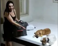 Dona de Chico ganha colchão novo para cachorro
