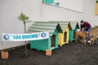 Cão Domínio: Refúgio Animal em Canoas