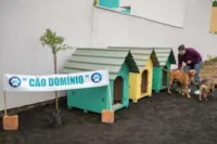 "Cão domínio" para animais comunitários é inaugurado em Canoas