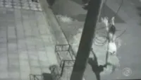 Garota joga gato em Rottweiler em Sorocaba