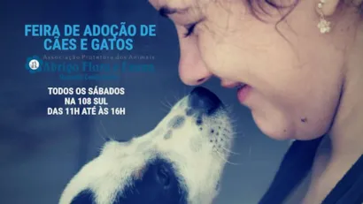 Encontre Seu Novo Amigo: Feira de Adoção de Cães e Gatos em Brasília!
