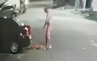 Homem espanca cachorro em Belém