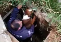 Cachorro é resgatado por policial após cair em boca de lobo em Sorocaba