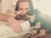 Cachorro morto a tiros na BA