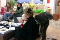 Ana Maria Braga e a Mijada do Cachorro