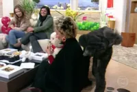 O dia em que Ana Maria Braga levou mijada de cachorro ao vivo