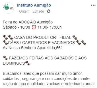 Amor e Companhia: Feira de Adoção Animal em Curitiba