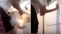 Jovem joga cachorro em secadora