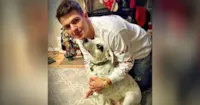 Cachorrinha adotada por ser carinhosa demais