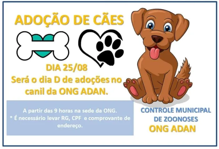 Participe da feira de adoção em Paranaiguara e encontre seu novo amigo de quatro patas. Venha fazer a diferença na vida de um animal!