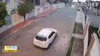 Cachorro perseguido e morto em São Mateus