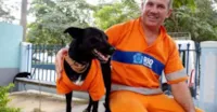 Cachorro adotado ganha uniforme de gari