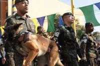 Soldado desfilando com cachorro viraliza