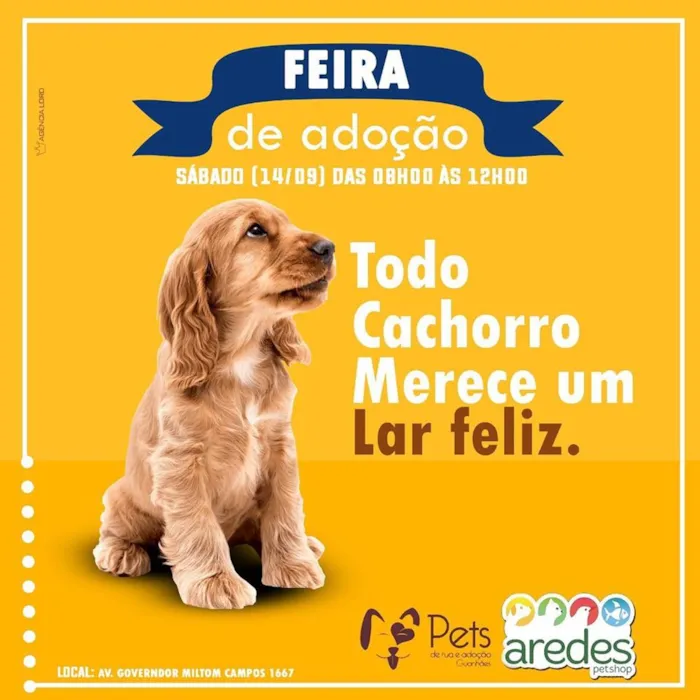 Participe da feira de adoção em Guanhães-MG e encontre um amigo para a vida toda. Doe amor e ganhe um companheiro fiel. Venha nos visitar!