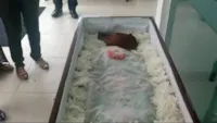 Cachorro no velório: resgate emocional