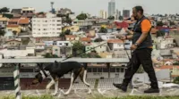 Empreendedor usa drones para achar cachorros