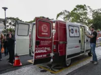 Curitiba ganha ambulância para resgatar pets