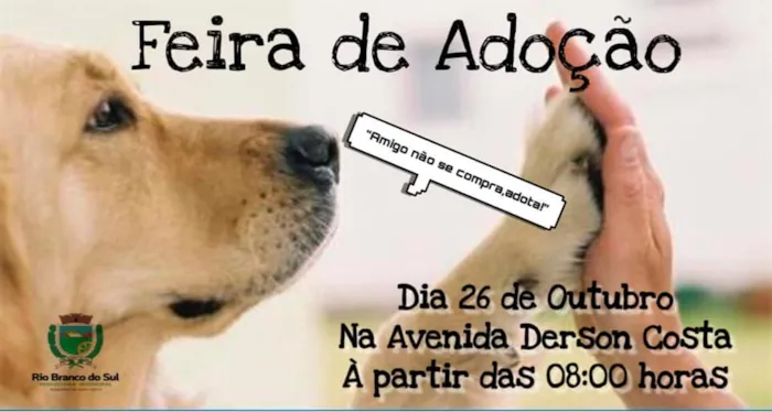 Em Rio Branco do Sul