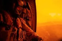 Incêndio na Austrália: Perdas Incalculáveis